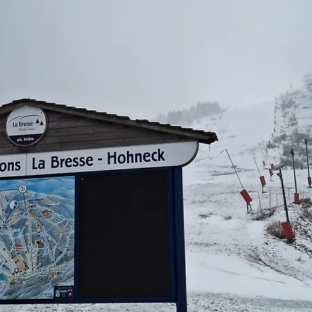 A La Bresse, Proche Des Lacs, Pistes De Et Randonnees * La Bresse