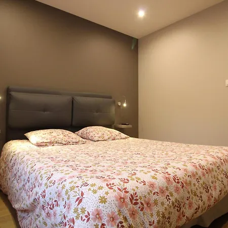 A La Bresse, Proche Des Lacs, Pistes De Et Randonnees * La Bresse