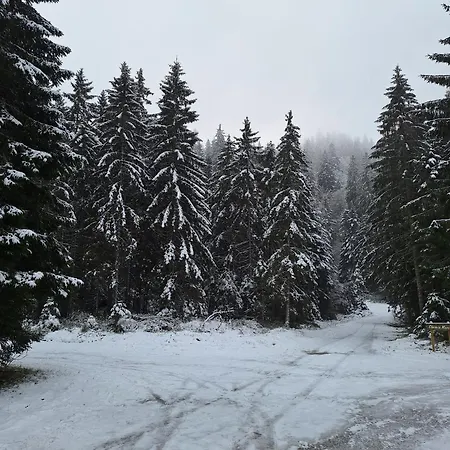 Apartman A La Bresse, Proche Des Lacs, Pistes De Et Randonnees