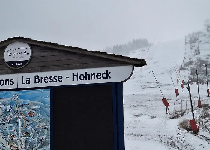 A La Bresse, Proche Des Lacs, Pistes De Et Randonnees * La Bresse