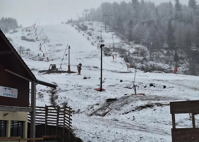 Apartmán A La Bresse, Proche Des Lacs, Pistes De Et Randonnees