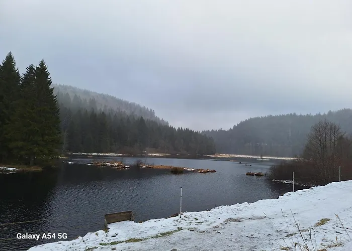A La Bresse, Proche Des Lacs, Pistes De Et Randonnees Apartmán La Bresse