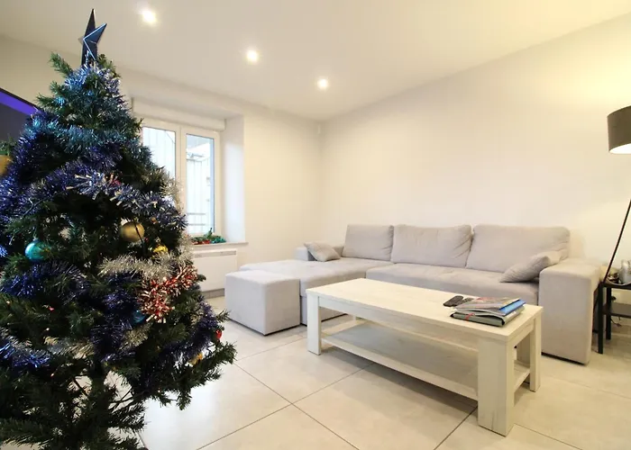 A La Bresse, Proche Des Lacs, Pistes De Et Randonnees