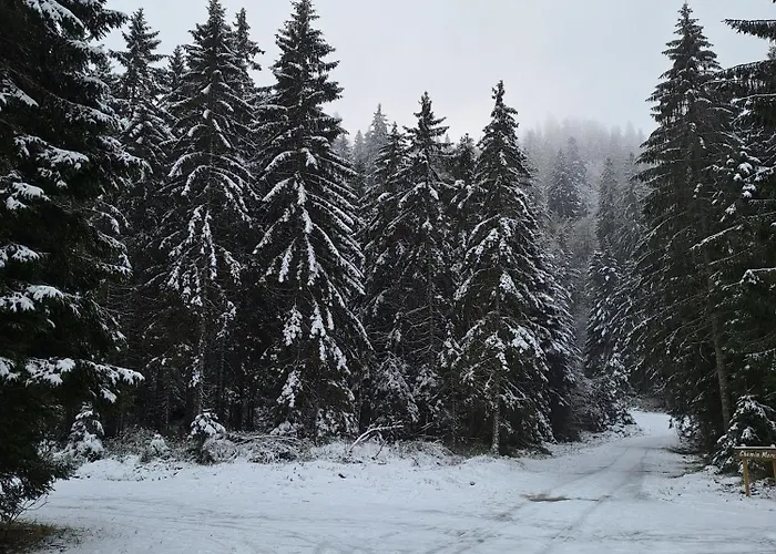 Apartmán A La Bresse, Proche Des Lacs, Pistes De Et Randonnees
